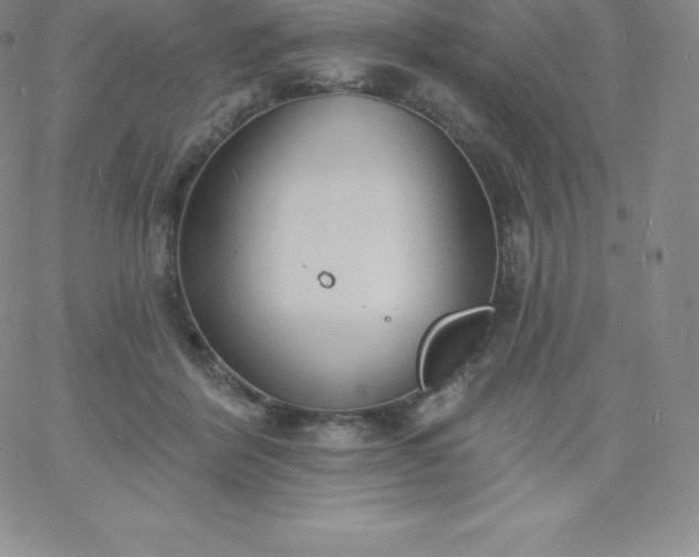 X0000060740412200511241643