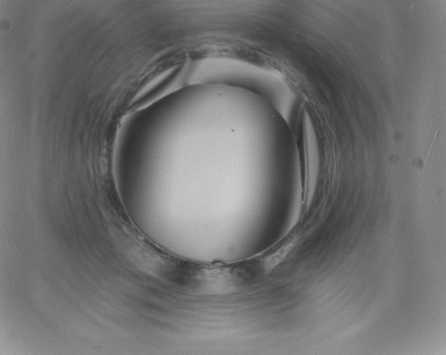 X0000060740413200511241643