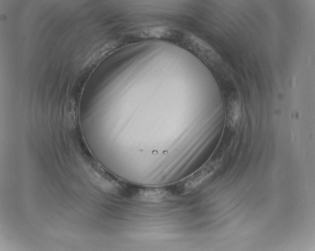 X0000060740414200511241643