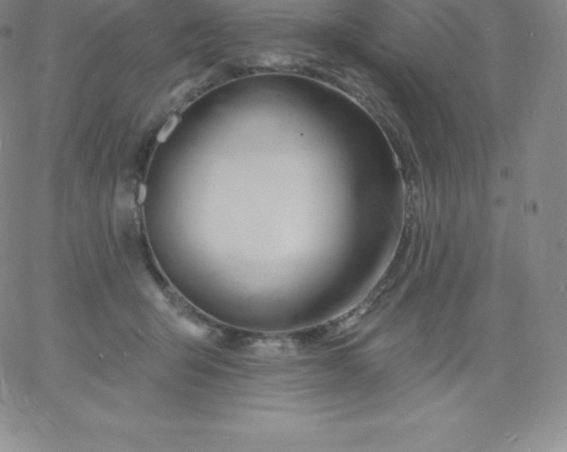 X0000060740415200511241643