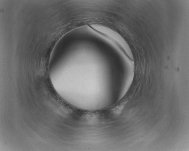 X0000060740416200511241643