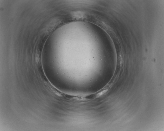 X0000060740417200511241643