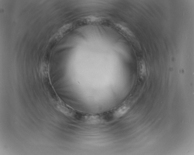 X0000060740419200511241643