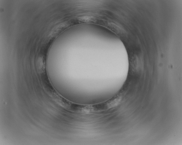 X0000060740420200511241643