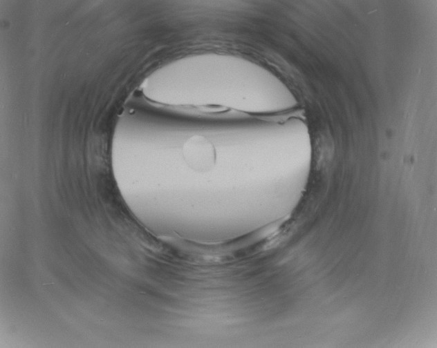 X0000060740421200511241643