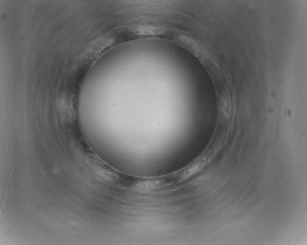 X0000060740422200511241643