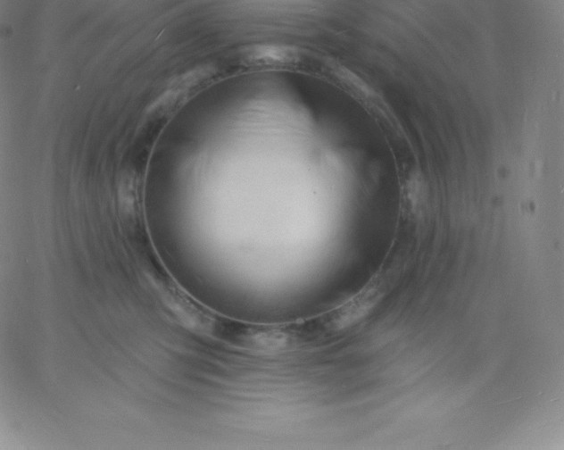 X0000060740423200511241643