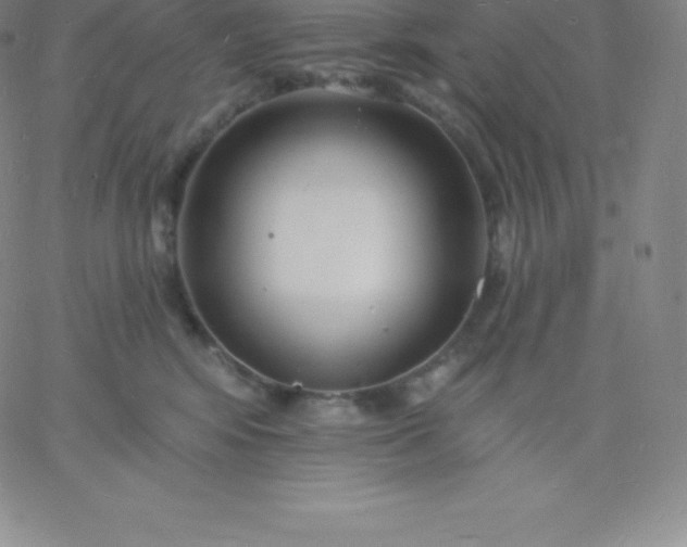 X0000060740424200511241643