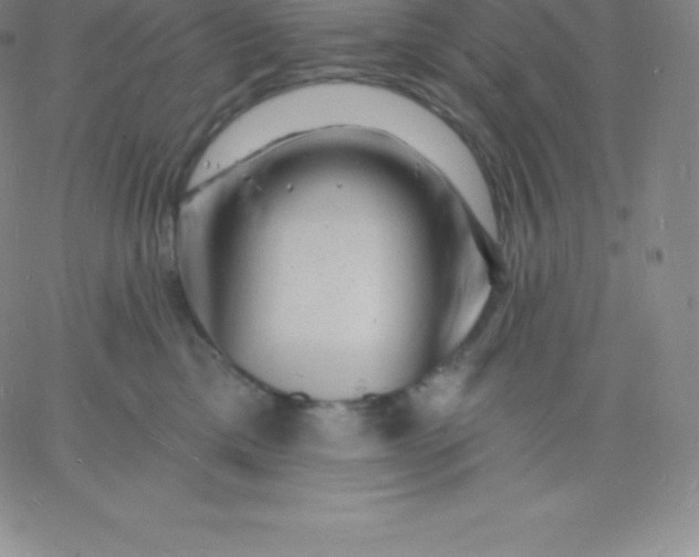 X0000060740425200511241643