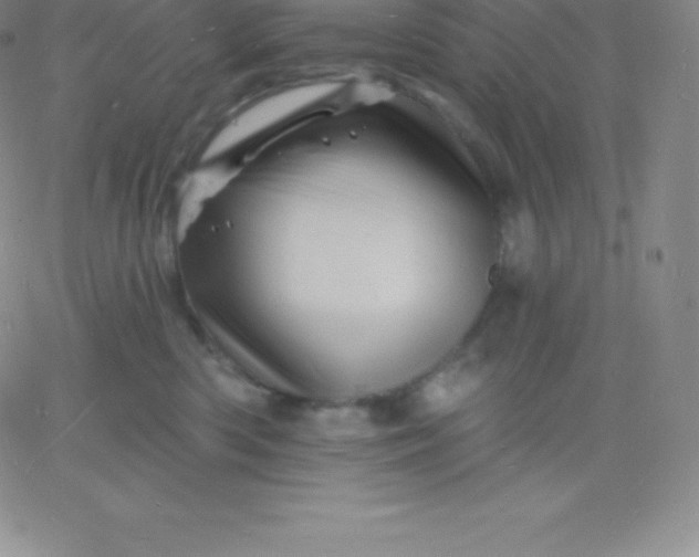 X0000060740426200511241643