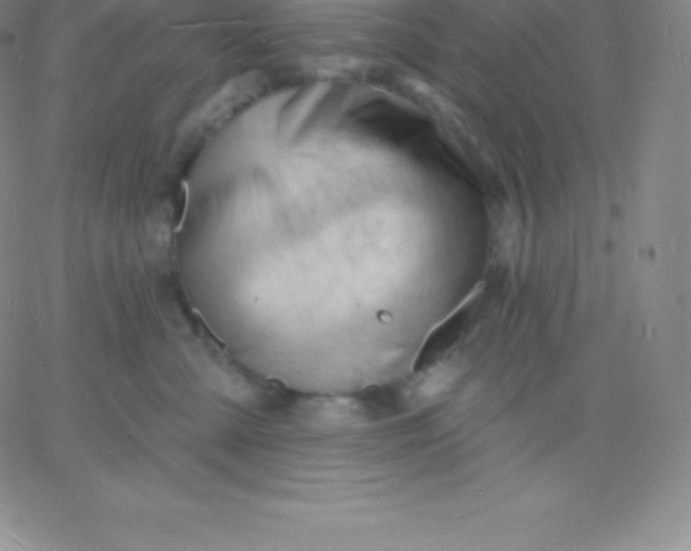 X0000060740427200511241643