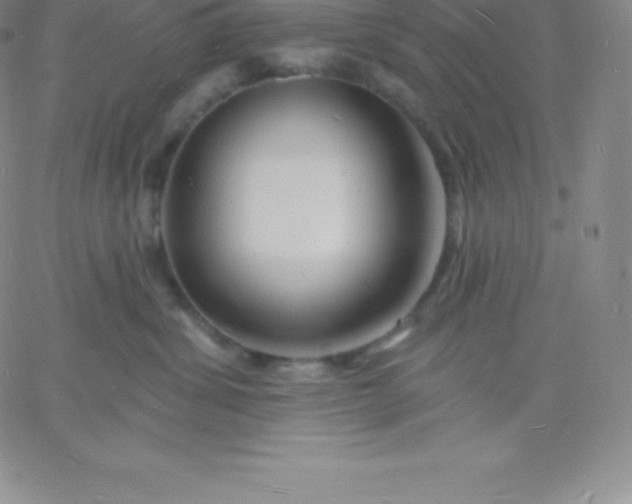 X0000060740428200511241643