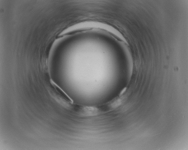 X0000060740429200511241643