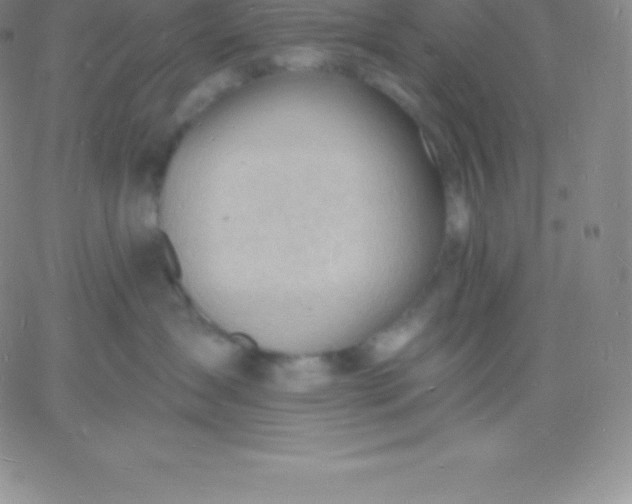 X0000060740431200511241643