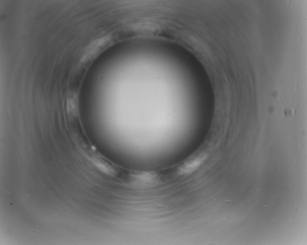 X0000060740432200511241643