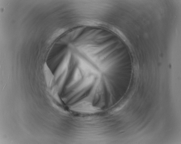 X0000060740433200511241642