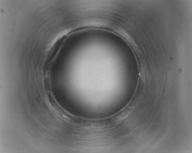 X0000060740434200511241642