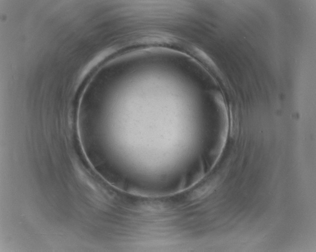 X0000060740435200511241642