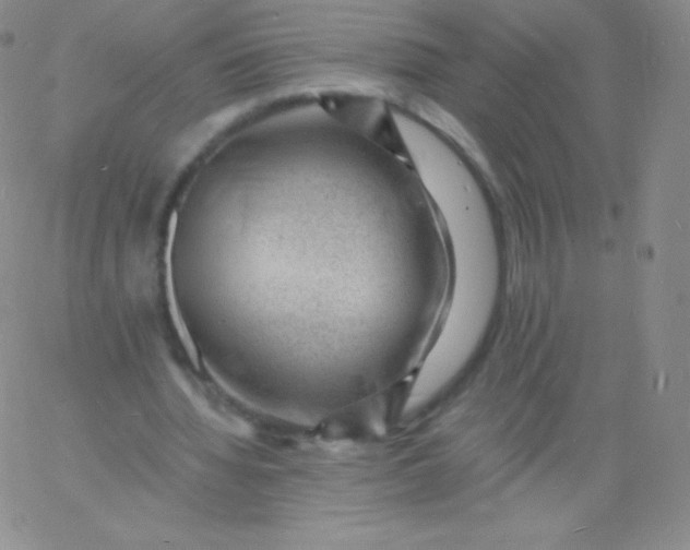 X0000060740436200511241642