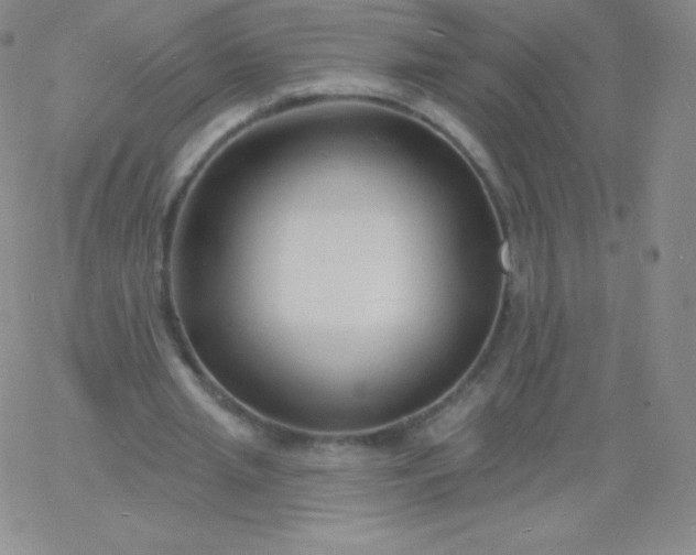 X0000060740437200511241642