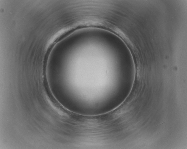 X0000060740438200511241642