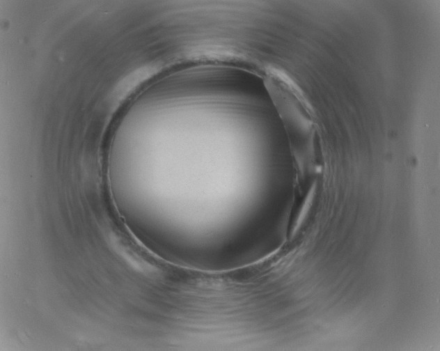 X0000060740439200511241642