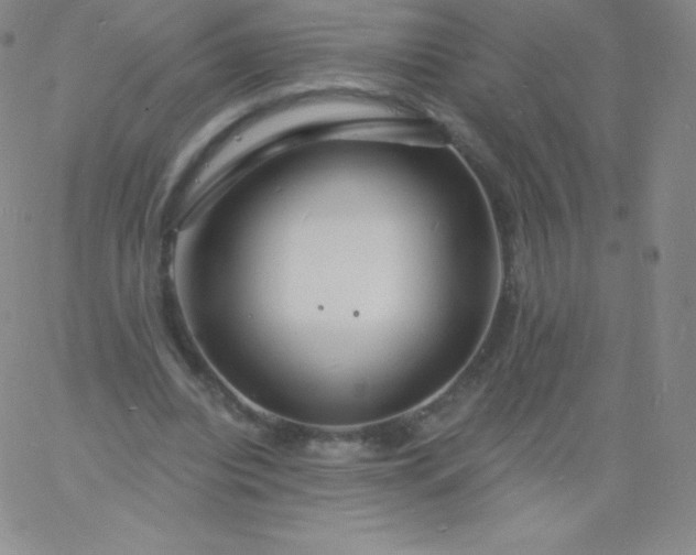 X0000060740440200511241642