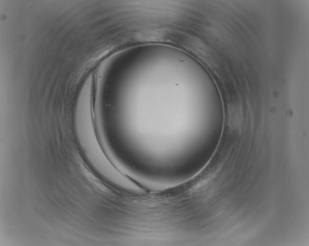 X0000060740441200511241642