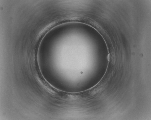 X0000060740442200511241642