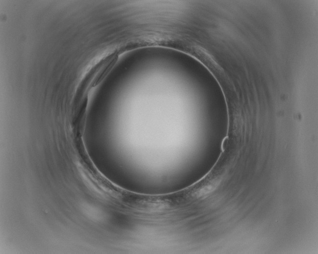 X0000060740443200511241642