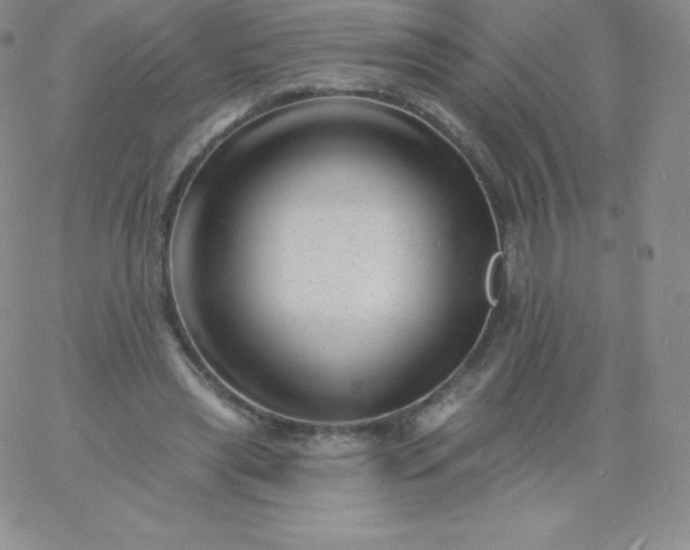 X0000060740445200511241642