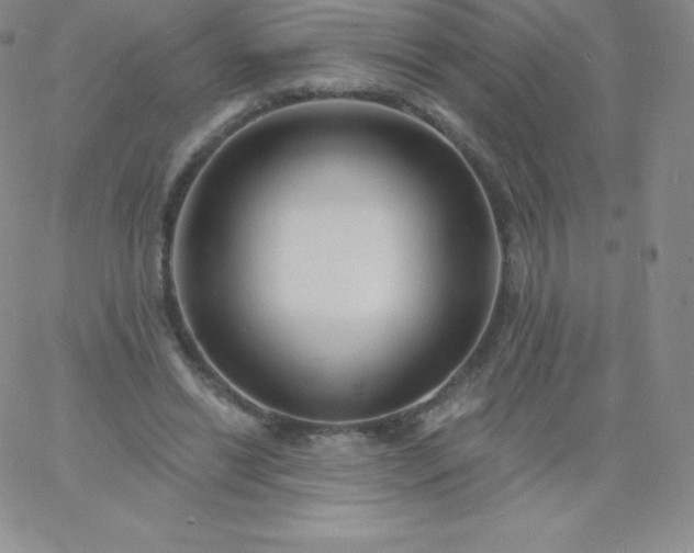 X0000060740446200511241642