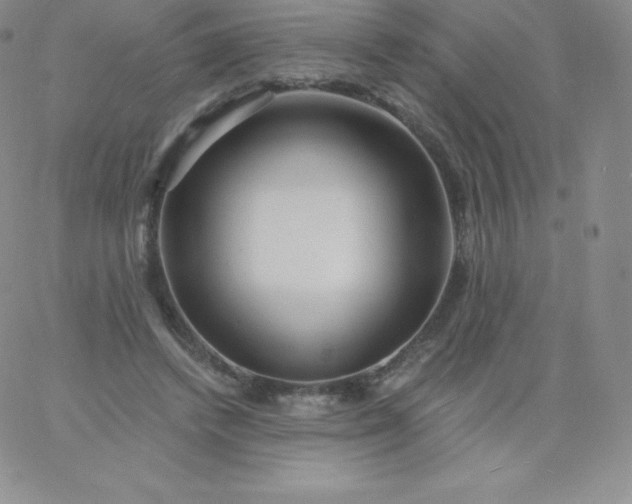 X0000060740448200511241642