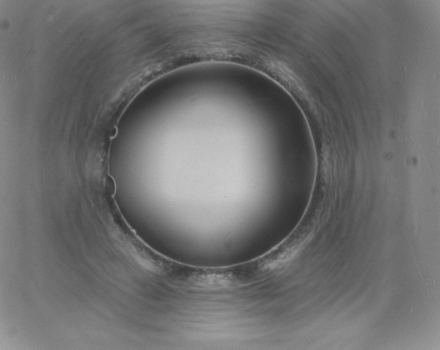 X0000060740449200511241642