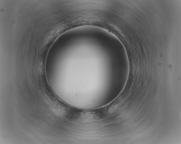 X0000060740451200511241642