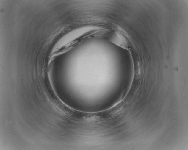 X0000060740452200511241642