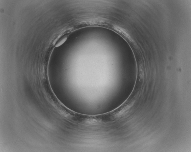 X0000060740453200511241642