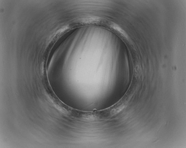 X0000060740454200511241642