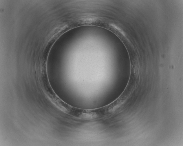 X0000060740455200511241642