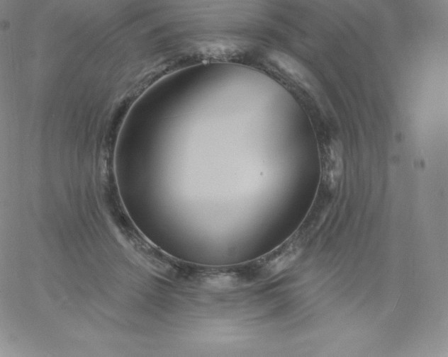 X0000060740456200511241642