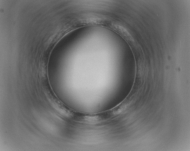 X0000060740457200511241642