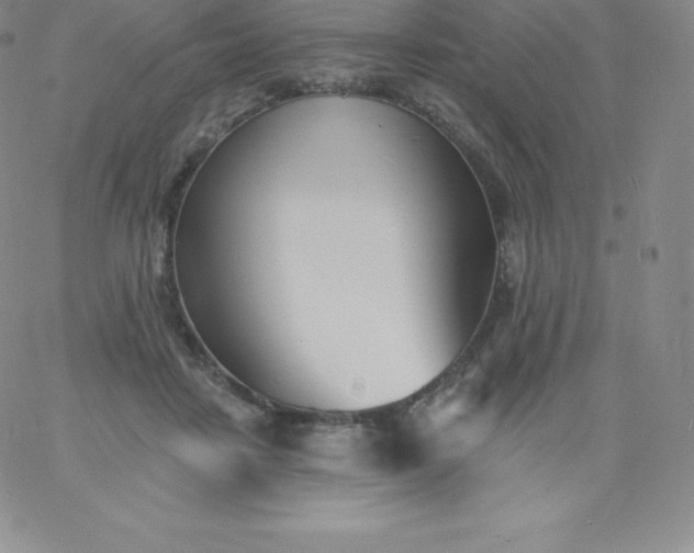 X0000060740458200511241642