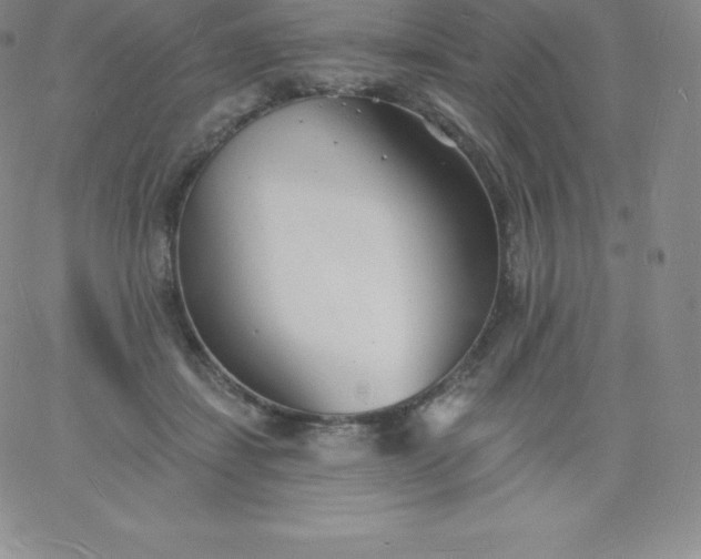 X0000060740459200511241642