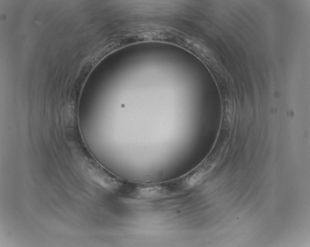 X0000060740461200511241642