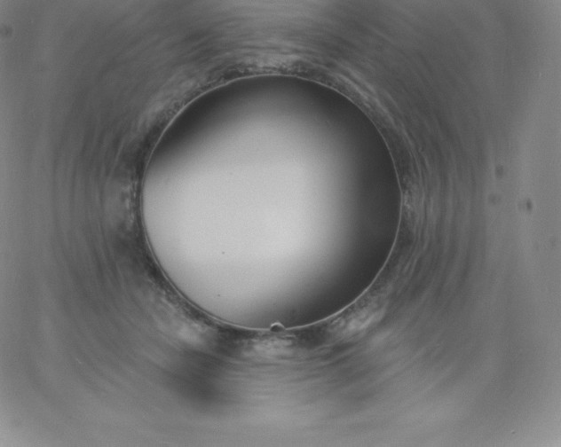 X0000060740462200511241642