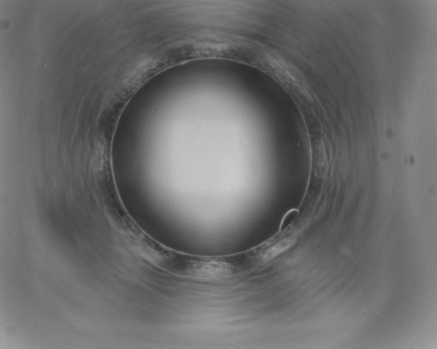 X0000060740463200511241642