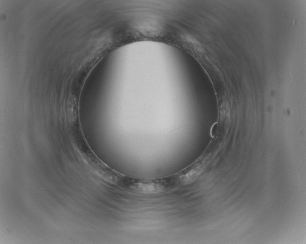 X0000060740464200511241642