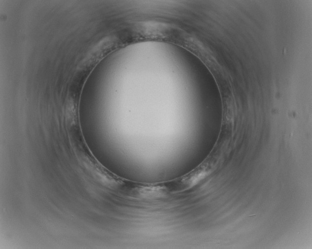 X0000060740465200511241642