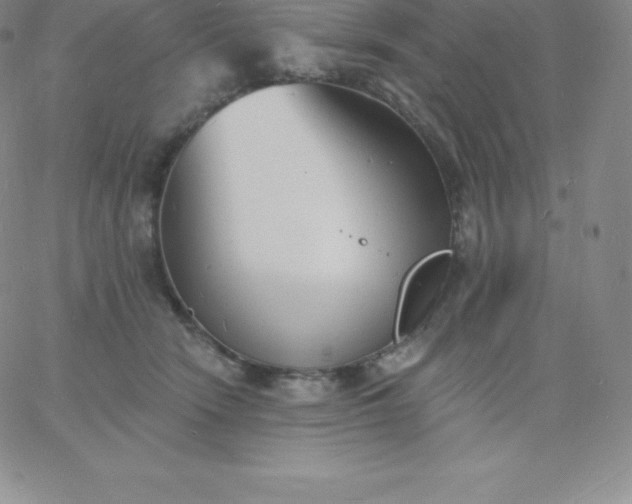 X0000060740466200511241642