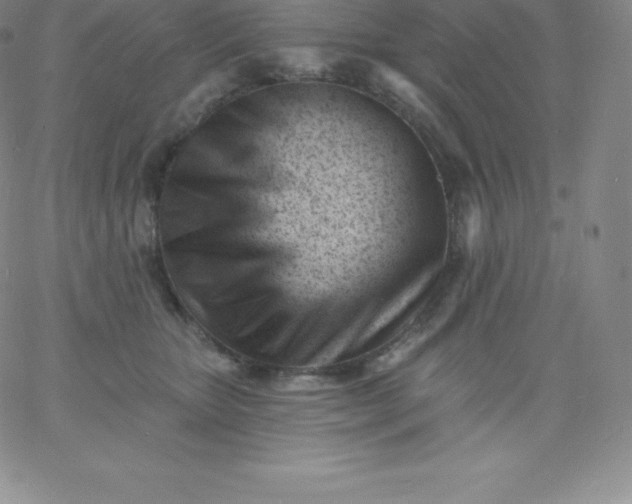 X0000060740467200511241642